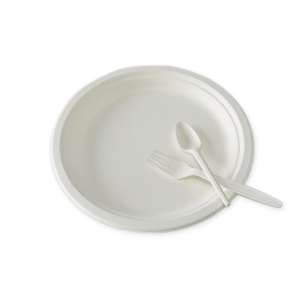 10in Round Plate, Bagasse, Large size