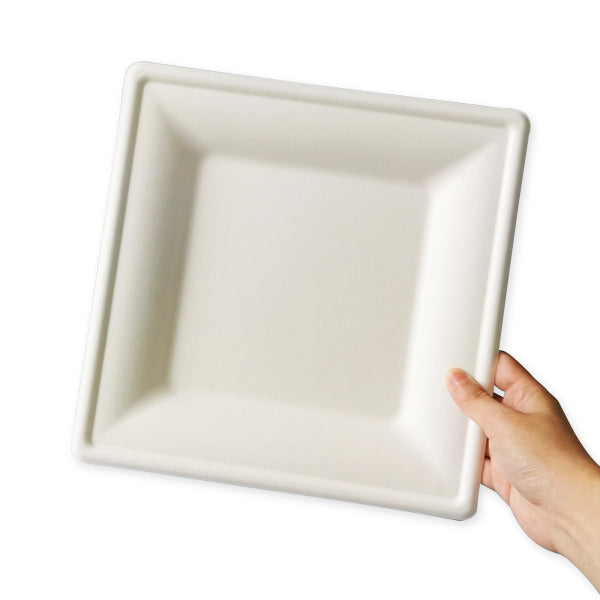 10' SQUARE PLATE